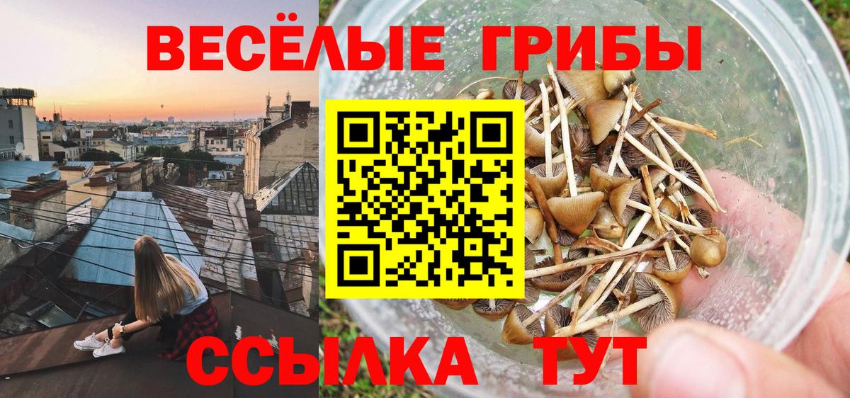 Галлюциногенные грибы Magic Shrooms  Вход с VPN  Тара 