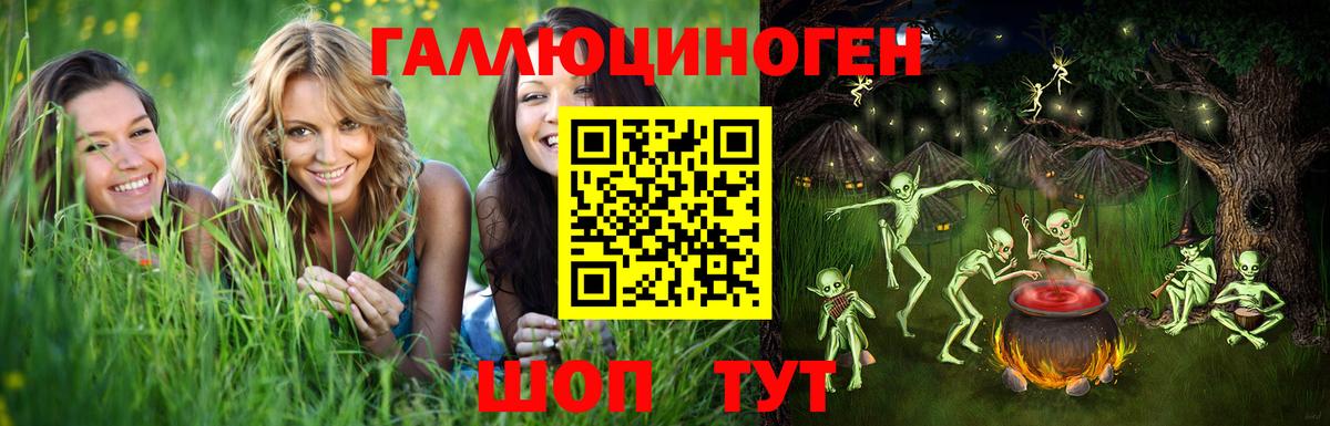 Псилоцибиновые грибы Psilocybe Тара