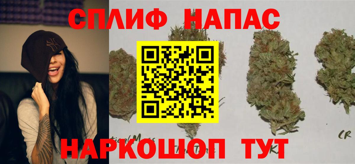 Тара  Конопля сатива  Конопля MAZAR  МАРИХУАНА план  Вход с VPN  Марихуана OG Kush 